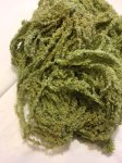 Algae Eyelash Chenille (image for) Algae Eyelash Chenille